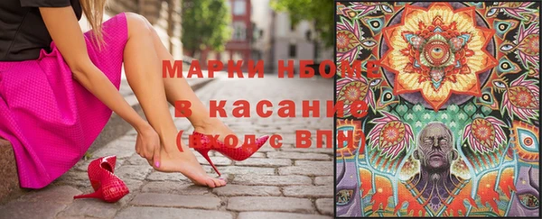 ГАЛЛЮЦИНОГЕННЫЕ ГРИБЫ Липки