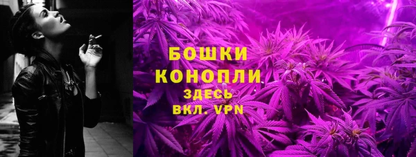 ГАЛЛЮЦИНОГЕННЫЕ ГРИБЫ Липки
