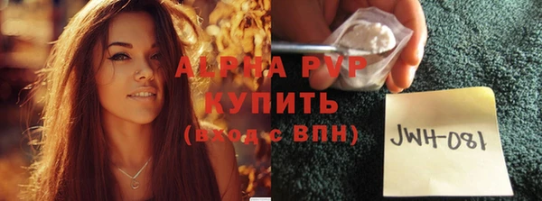 ГАЛЛЮЦИНОГЕННЫЕ ГРИБЫ Липки